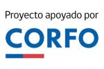 logo_corfo2024_proyecto_apoyado_azul-350x233